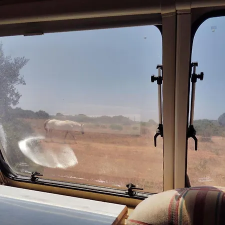 Uljanas Caravana For 2 With View Of The Rescued Horses Barao de Sao Joao