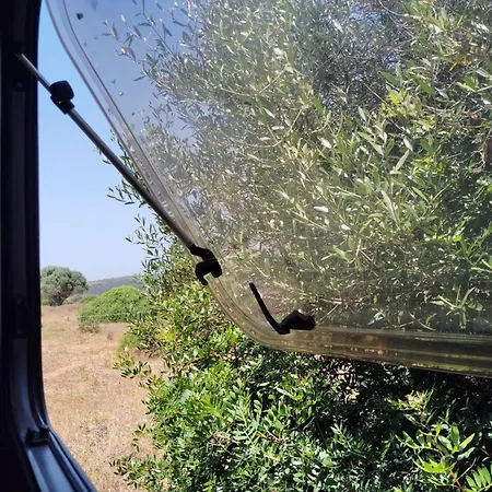 Uljanas Caravana For 2 With View Of The Rescued Horses Barao de Sao Joao