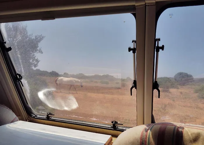 Uljanas Caravana For 2 With View Of The Rescued Horses Barao de Sao Joao