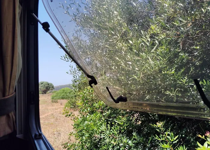Uljanas Caravana For 2 With View Of The Rescued Horses Barao de Sao Joao